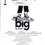 Big, The Musical (2002)